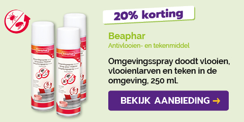 Dagaanbieding