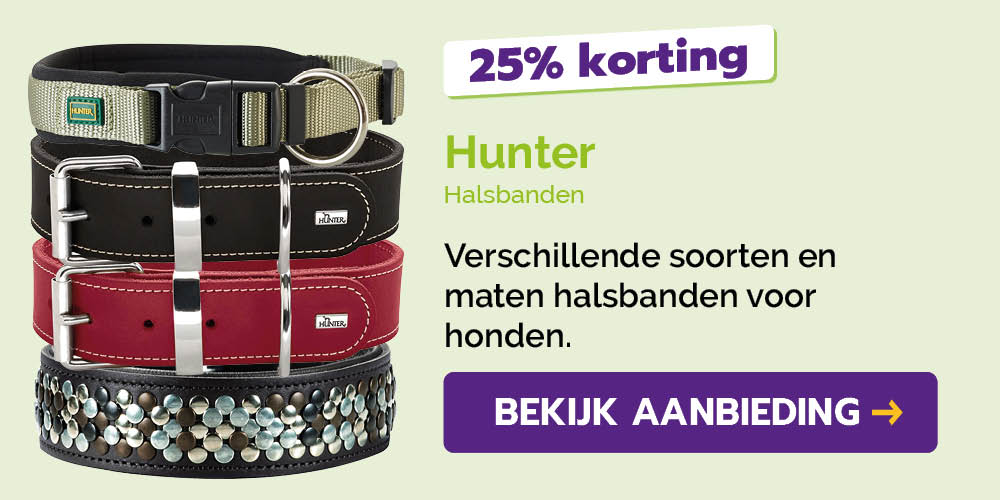 Dagaanbieding