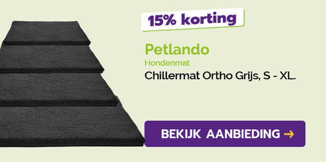 Dagaanbieding