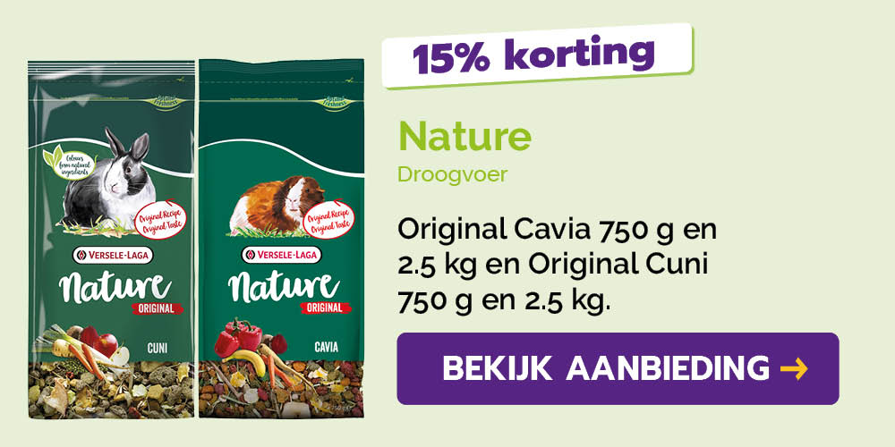 Dagaanbieding