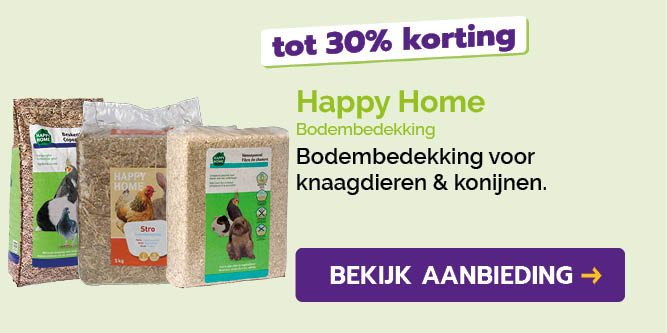 Dagaanbieding