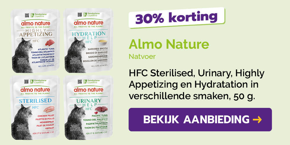 Dagaanbieding