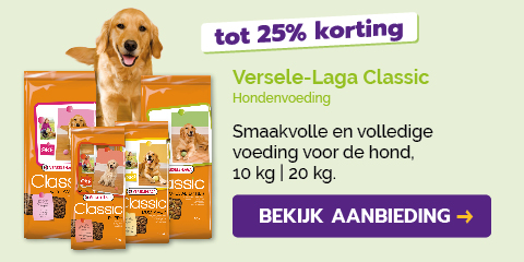 Dagaanbieding