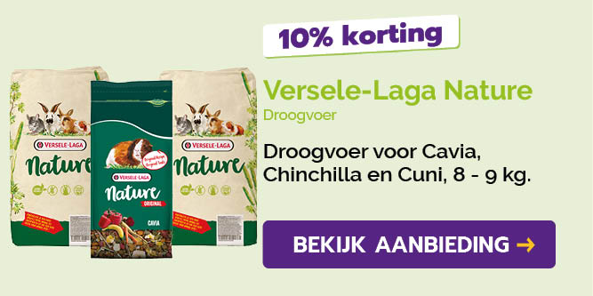 Dagaanbieding
