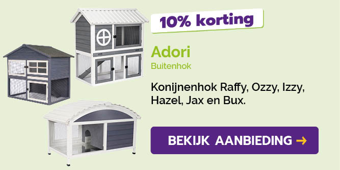 Dagaanbieding