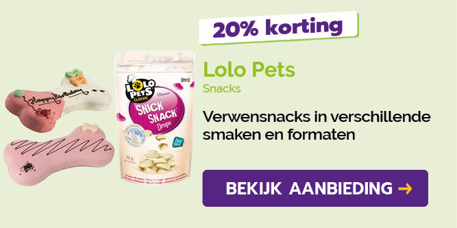Dagaanbieding