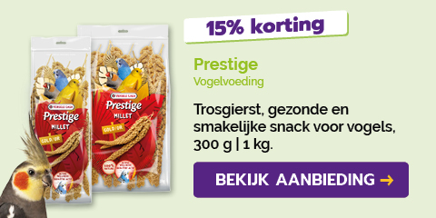 Dagaanbieding