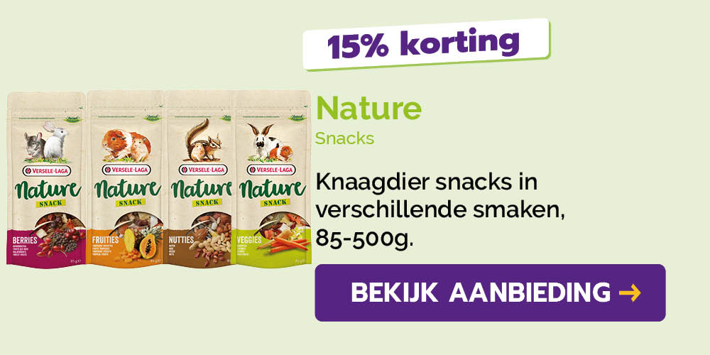 Dagaanbieding
