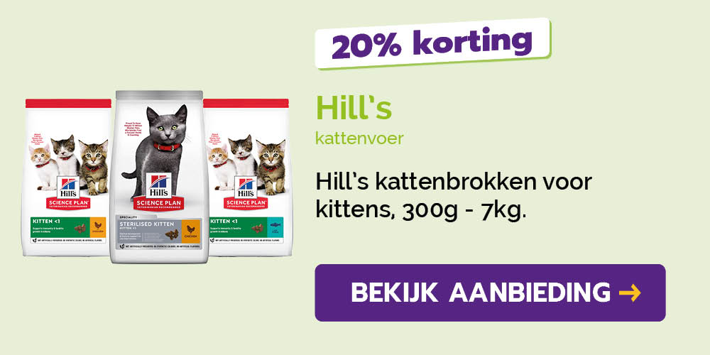 Dagaanbieding