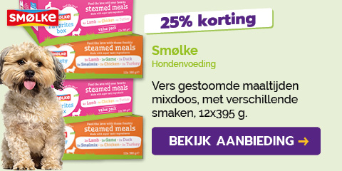 Dagaanbieding