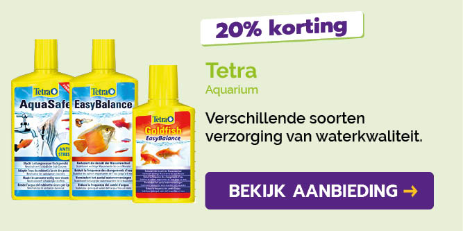 Dagaanbieding