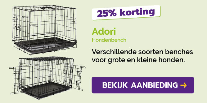 Dagaanbieding