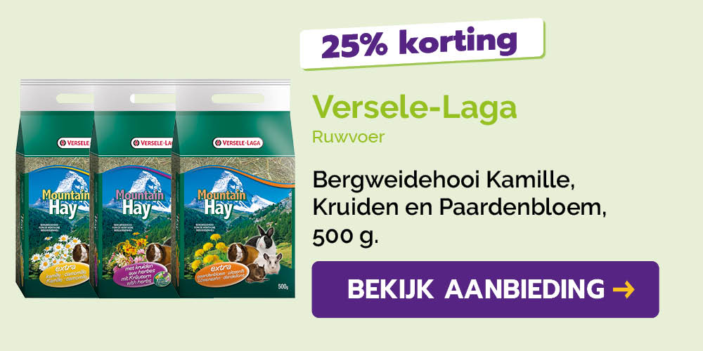 Dagaanbieding