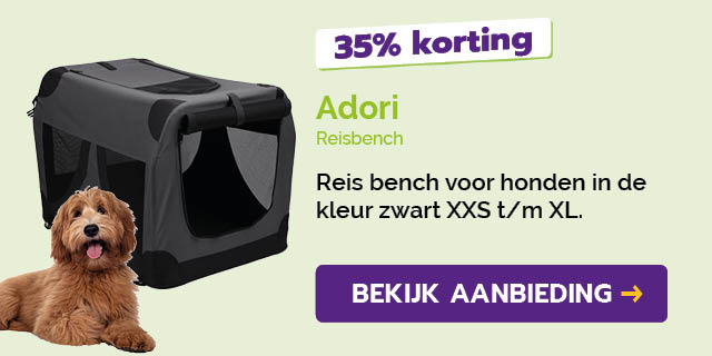 Dagaanbieding