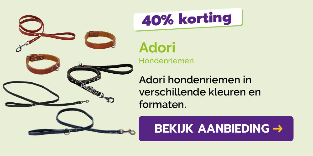 Dagaanbieding