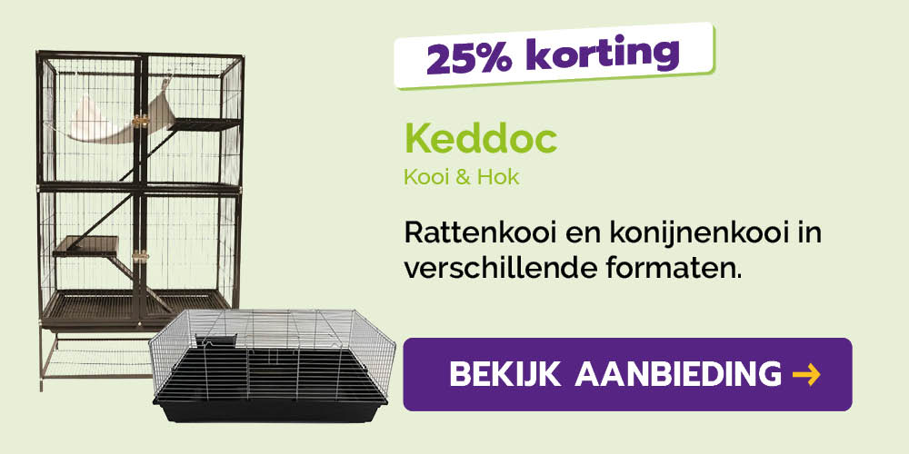 Dagaanbieding