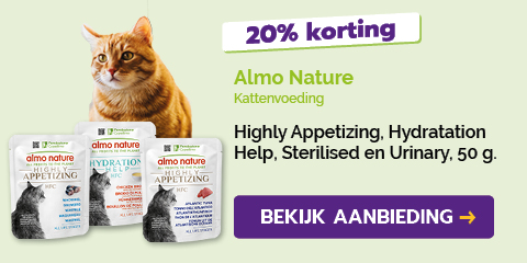 Dagaanbieding