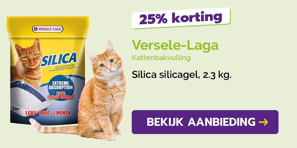 Dagaanbieding