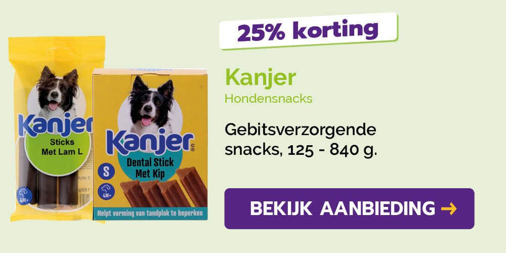 Dagaanbieding