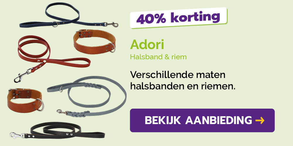 Dagaanbieding