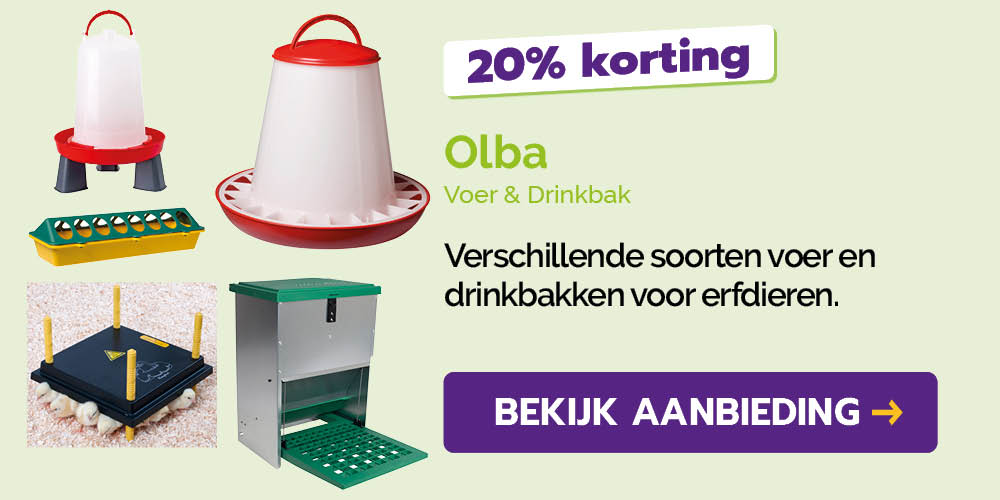 Dagaanbieding