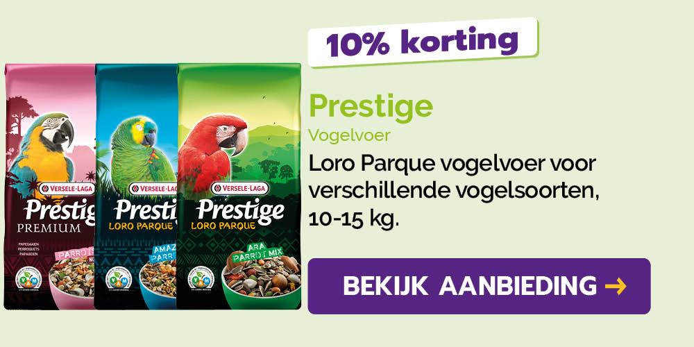 Dagaanbieding