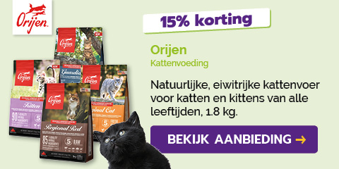 Dagaanbieding