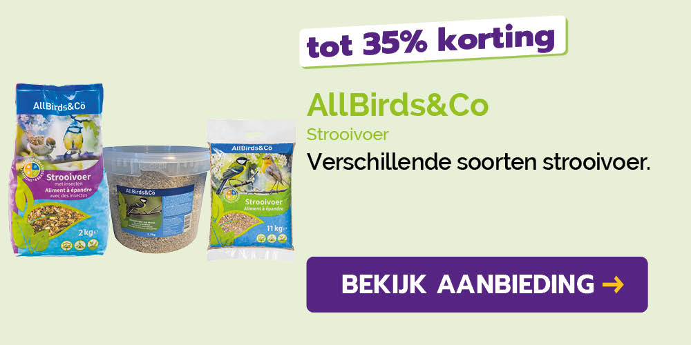 Dagaanbieding