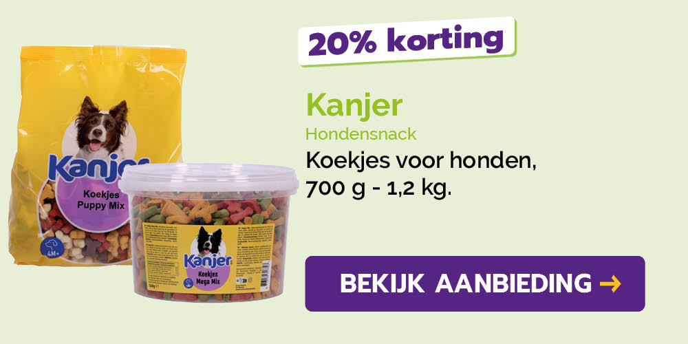 Dagaanbieding
