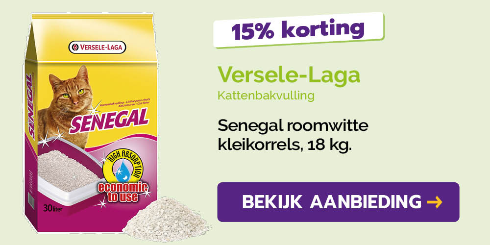 Dagaanbieding