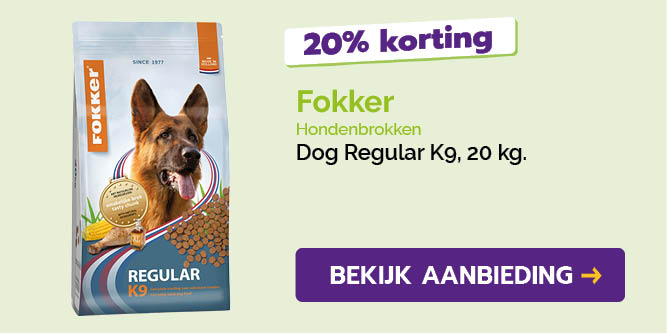Dagaanbieding