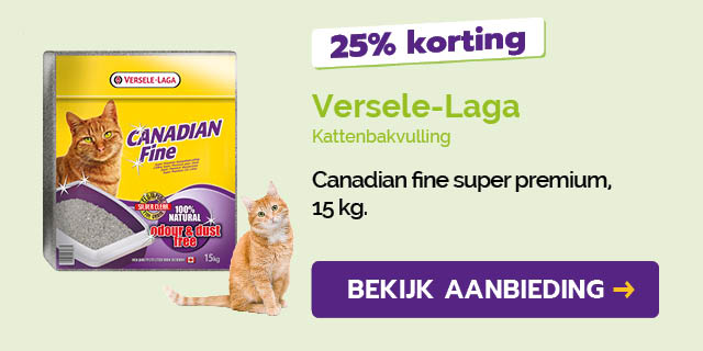 Dagaanbieding