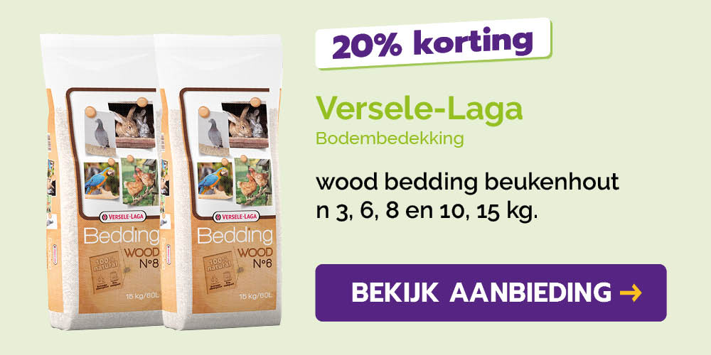 Dagaanbieding