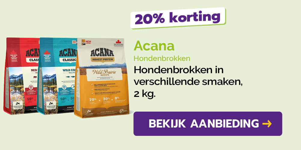 Dagaanbieding