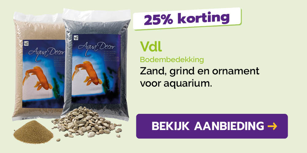 Dagaanbieding