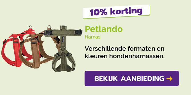 Dagaanbieding