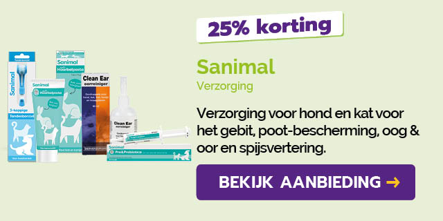Dagaanbieding
