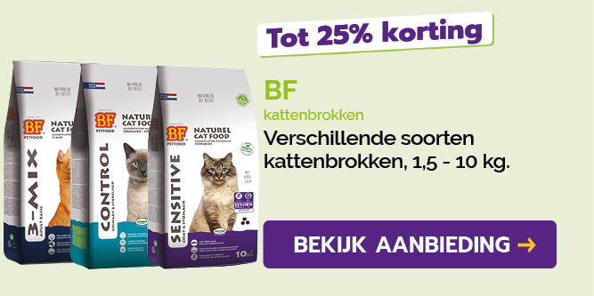 Dagaanbieding