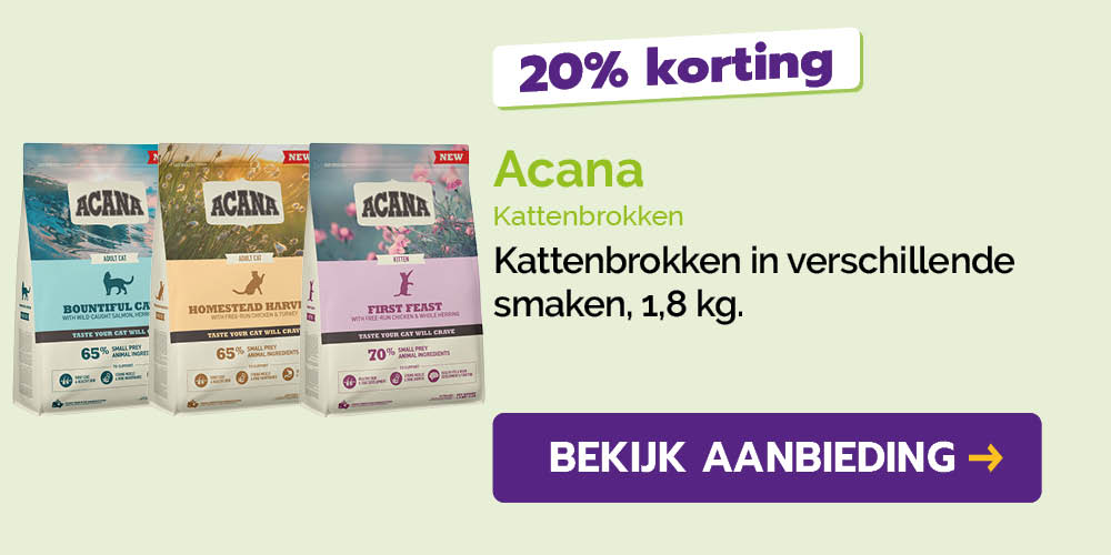 Dagaanbieding