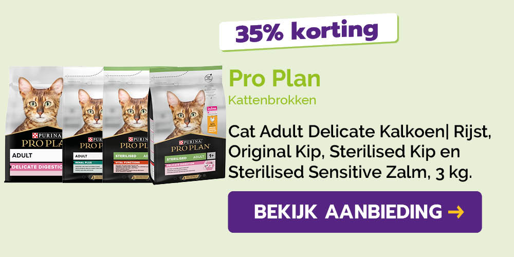 Dagaanbieding