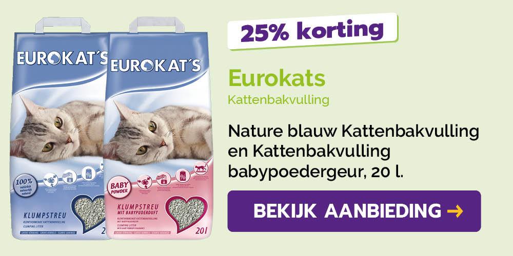 Dagaanbieding
