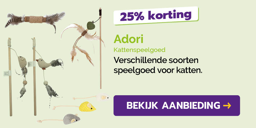 Dagaanbieding