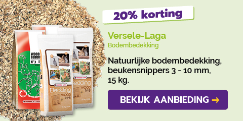 Dagaanbieding
