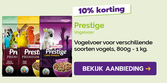 Dagaanbieding