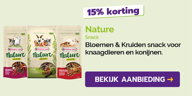 Dagaanbieding