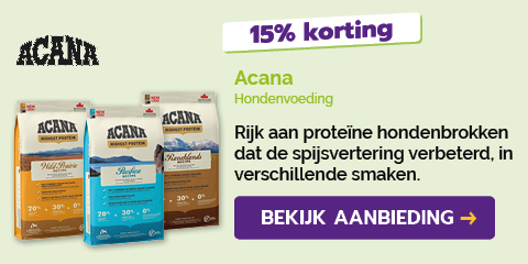 Dagaanbieding