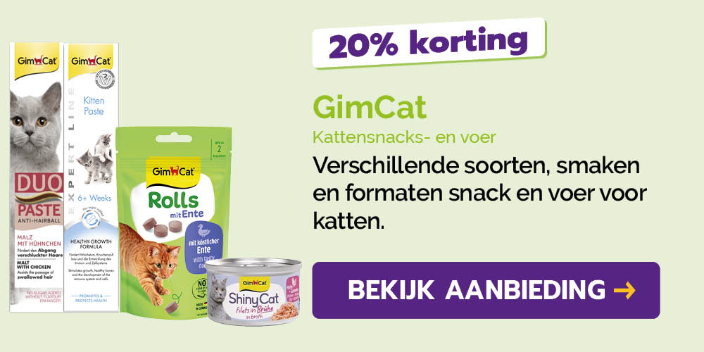 Dagaanbieding