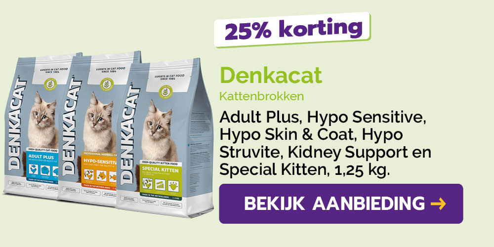 Dagaanbieding