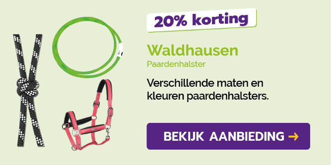 Dagaanbieding