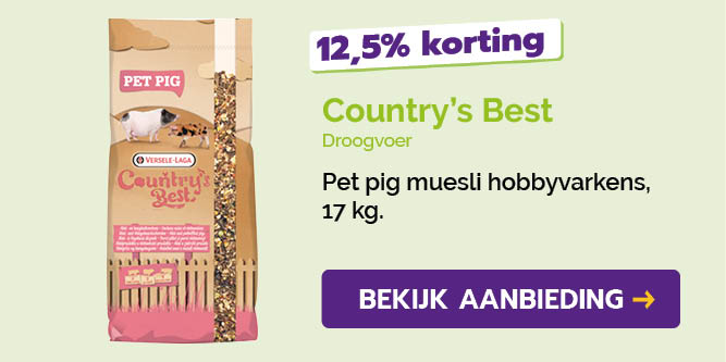 Dagaanbieding